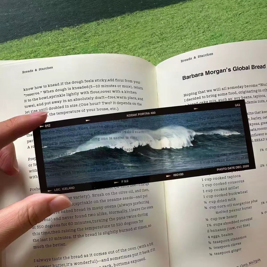 علامة كتاب أكريليك بتصميم فيلم - مراجعة Dried Flower Bookmark وسعره